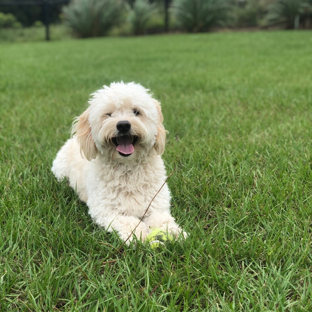 Meet your Posher, Hilary